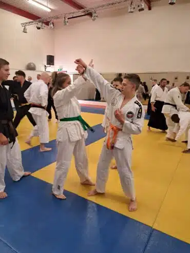 Bushin Kenpo Judo